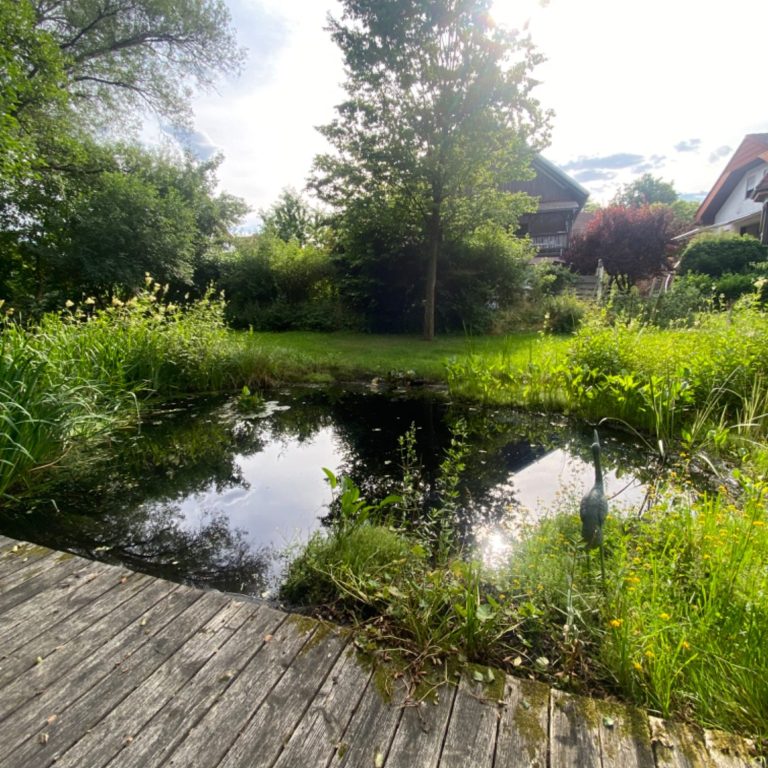 Teich im Grünen - Melena Roß